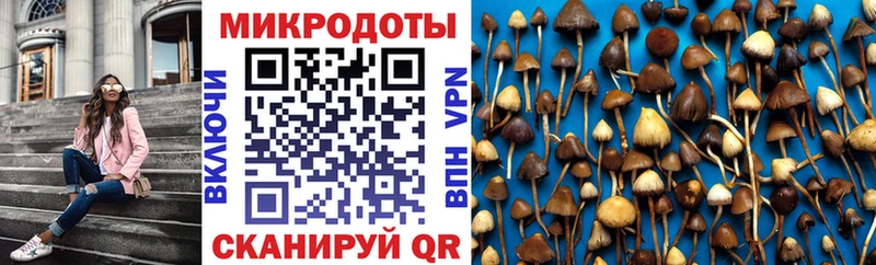 сколько стоит  Кириши  Псилоцибиновые грибы Psilocybine cubensis 