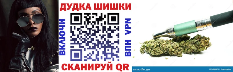 Бошки Шишки план Кириши